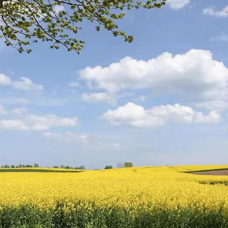 Дом отдыха Seewolke 8 *